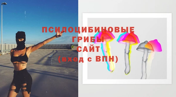амф Алексин