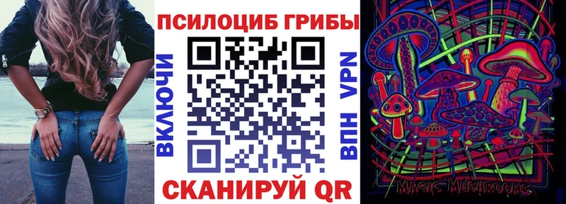 Псилоцибиновые грибы Psilocybe  Ртищево 